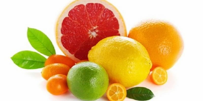 تصویر 4 از قیمت و خرید مرکبات + فروش صادراتی